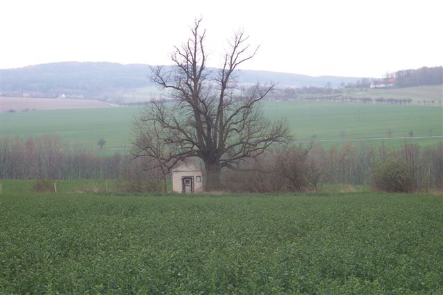 kaple a lípa 260 let (2).JPG
