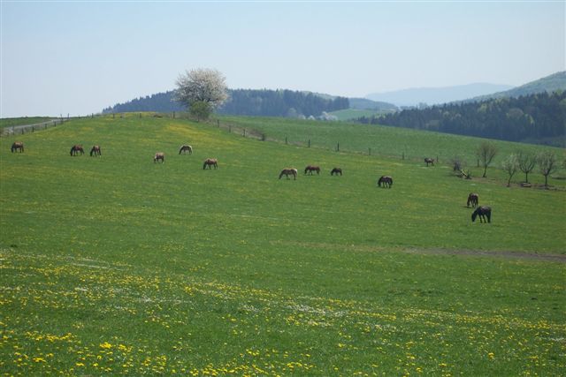 100_2061.JPG