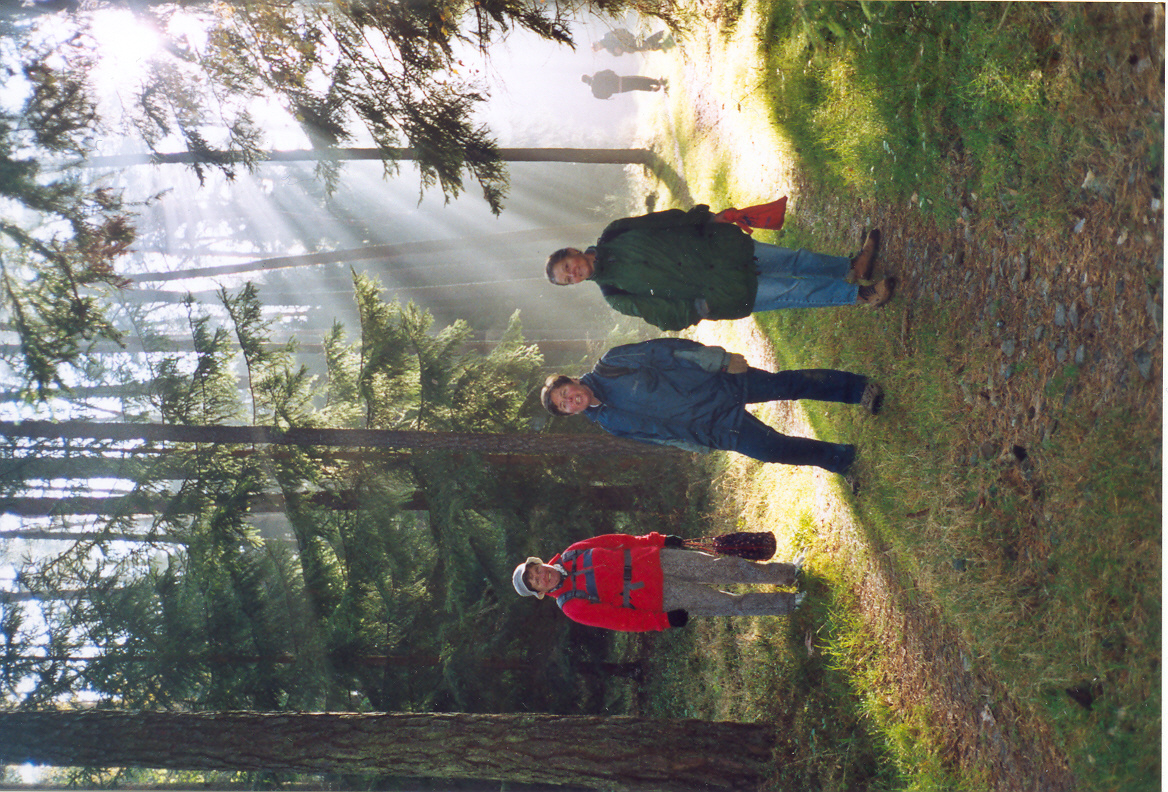 sejmout0004.jpg
